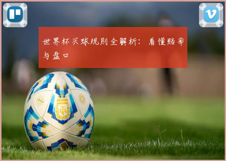 世界杯买球规则全解析：看懂赔率与盘口