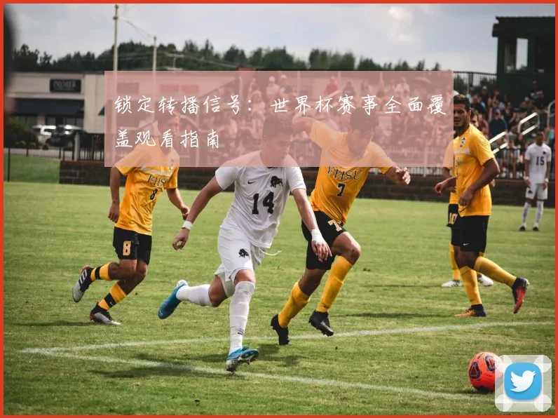 锁定转播信号：世界杯赛事全面覆盖观看指南