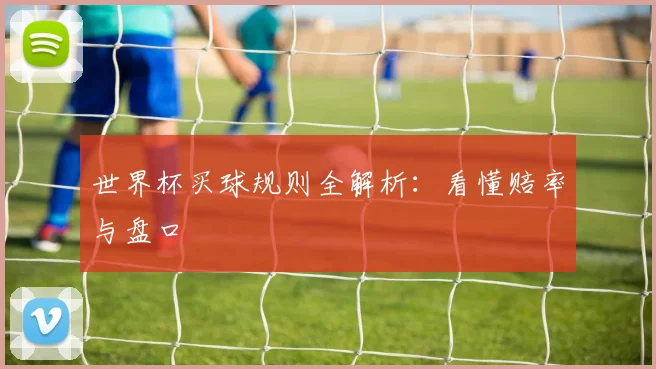 世界杯买球规则全解析：看懂赔率与盘口