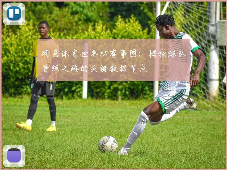 网易体育世界杯赛事图：揭秘球队晋级之路的关键数据节点