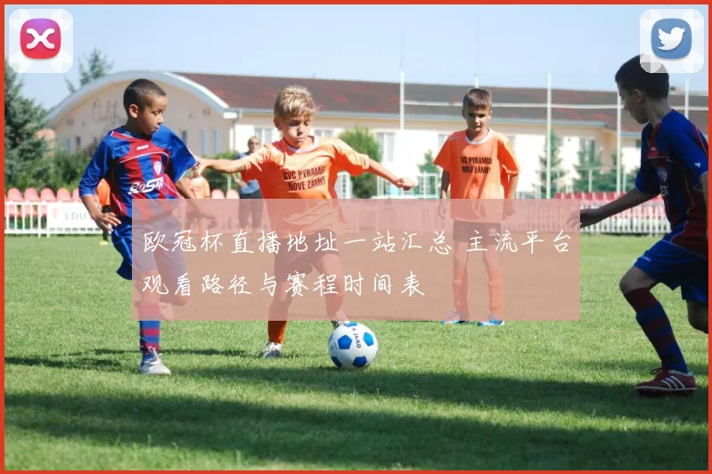 欧冠杯直播地址一站汇总 主流平台观看路径与赛程时间表