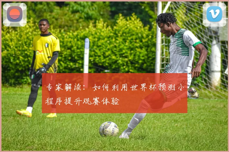 专家解读：如何利用世界杯预测小程序提升观赛体验